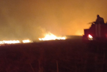 Фотография к новости: Почти сутки тушили крупный лесной пожар в Абайской области