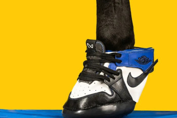 Фотография к новости: В США появился магазин с копиями кроссовок известных брендов для лошадей