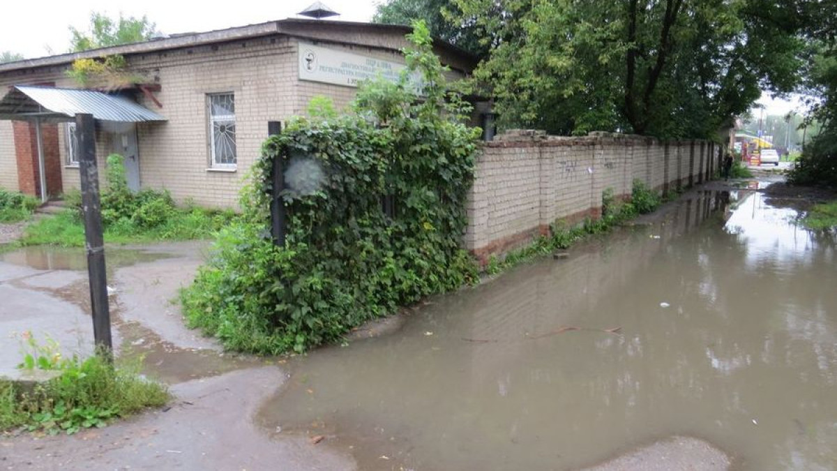 Иллюстративное фото - LiveJournal/@tar_elentirmo