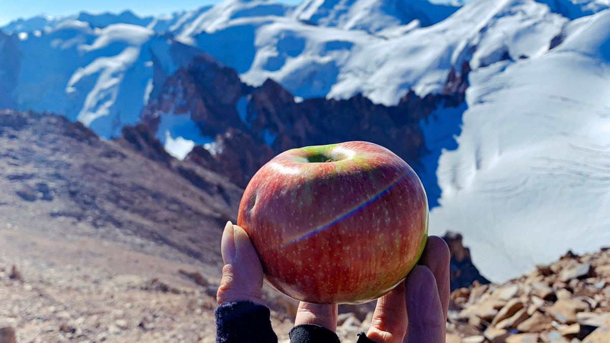 фото Анастасии Медынцевой
