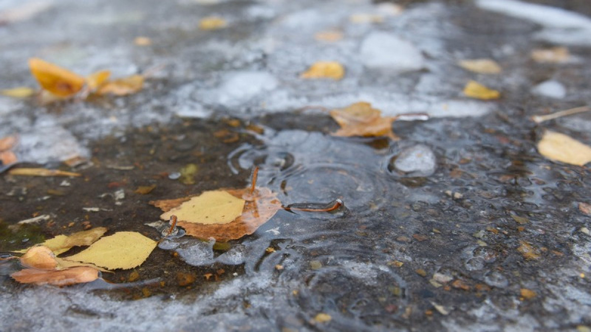 твойгород.com