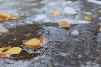 Фотография к новости: Ветер, туман, гололёд. Какая погода ждёт казахстанцев в воскресенье