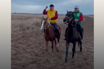 Фотография к новости: Жигули Дайрабаев подковал лошадь. Видео попало в Сеть