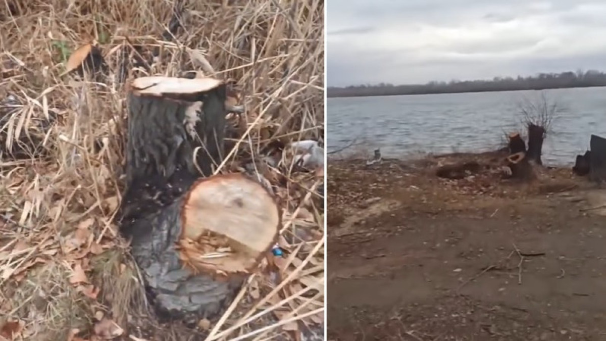 скриншот из видео