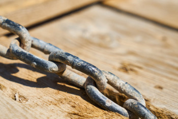 Фотография к новости: Юношу-маугли нашли в Темиртау