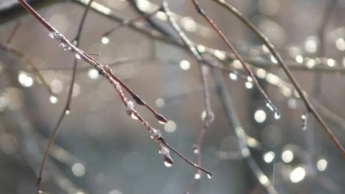 Какой будет погода в Казахстане 3 ноября