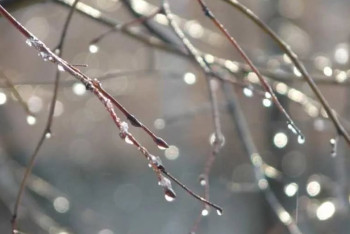 Фотография к новости: Какой будет погода в Казахстане 3 ноября