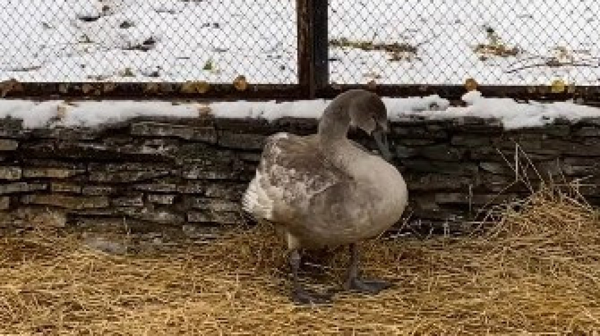 instagram.com/@burabay_resort