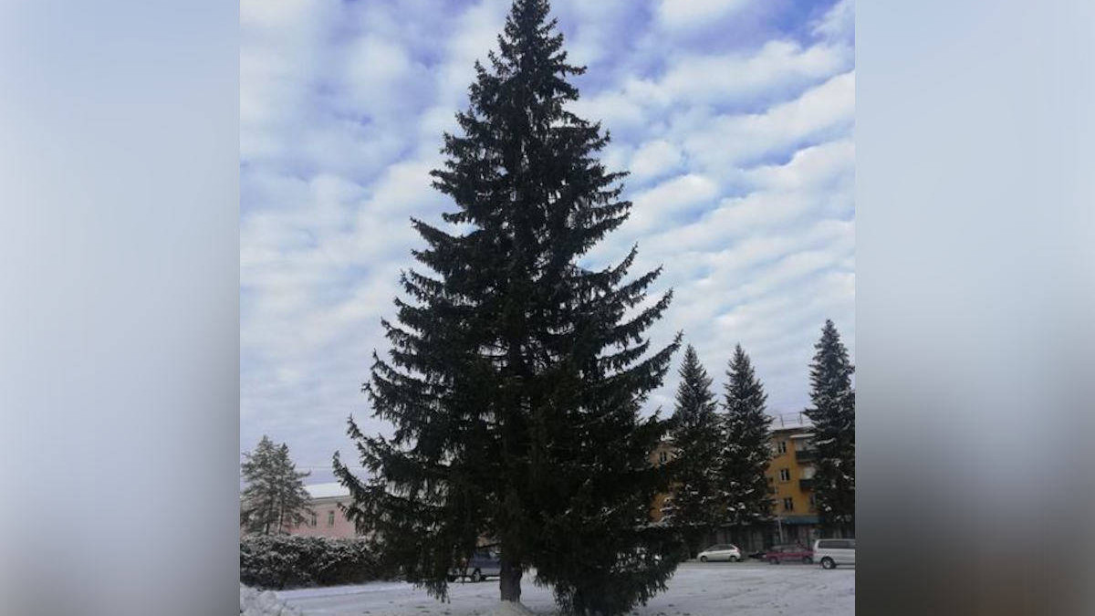 Любовь Кожевникова