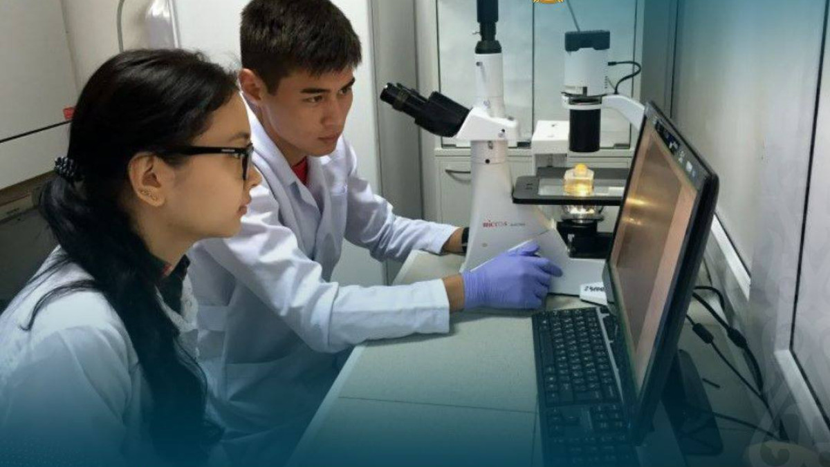 Министерство науки и высшего образования РК