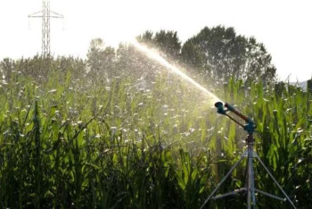 Фотография к новости: Искусственный дождь будут применять аграрии на севере Казахстана