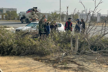 Фотография к новости: "Акимат дал разрешение": жители 11 микрорайона Актау возмущены вырубкой деревьев