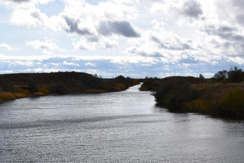 Фотография к новости: В Атырауской области провели качество воды в реке Кигач
