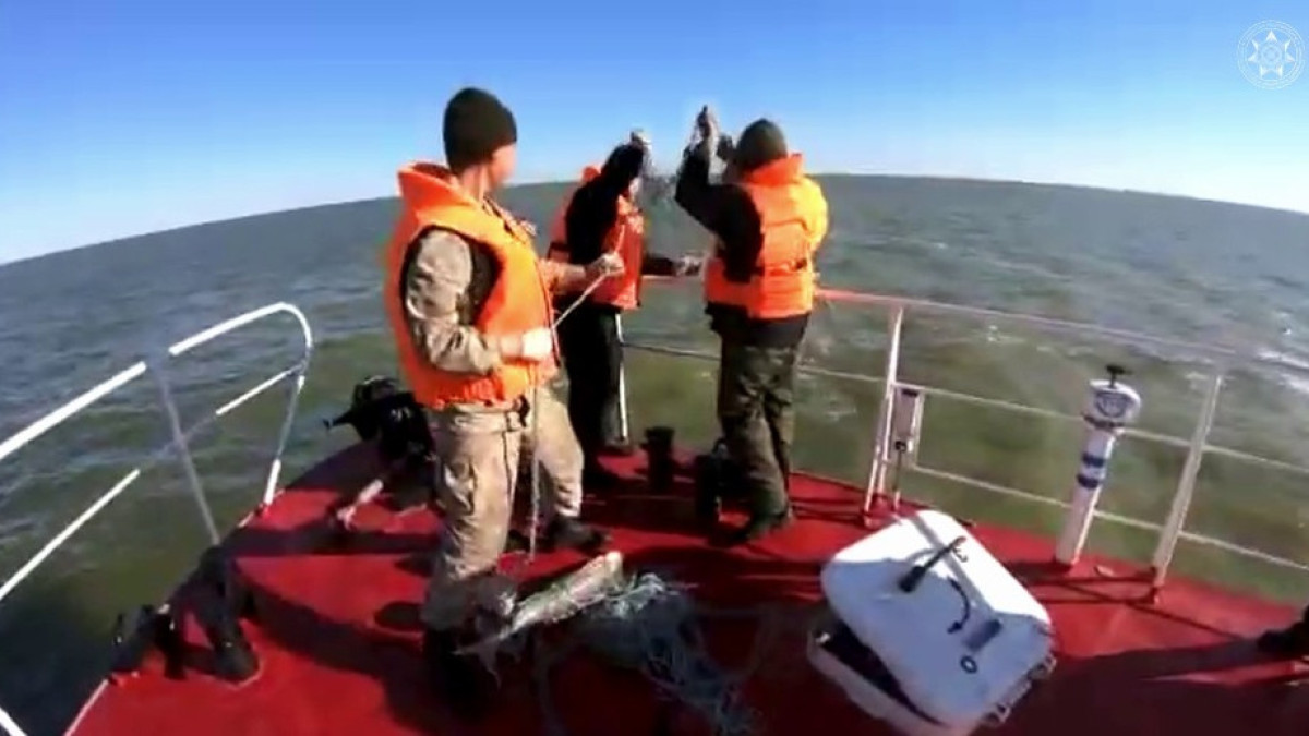 Более 6000 рыб и 54 тюленя спасли пограничники на Каспии