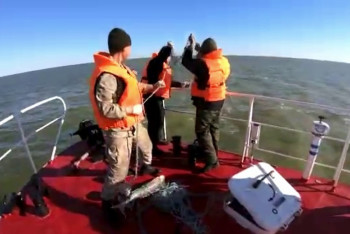 Фотография к новости: Более 6000 рыб и 54 тюленя спасли пограничники на Каспии