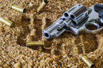 Фотография к новости: Сколько оружия выкрали из резиденции и зданий департаментов полиции в январе