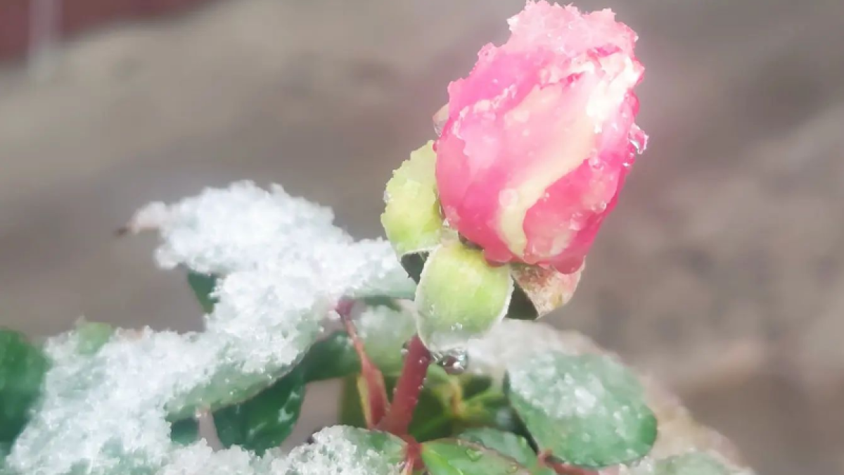 instagram.com/gonzo_dasha