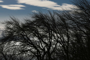 Фотография к новости: В 13 регионах Казахстана объявлено штормовое предупреждение