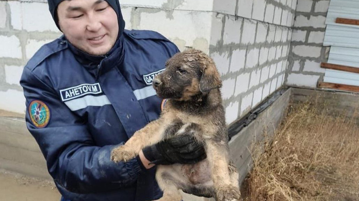 ДЧС Актюбинской области