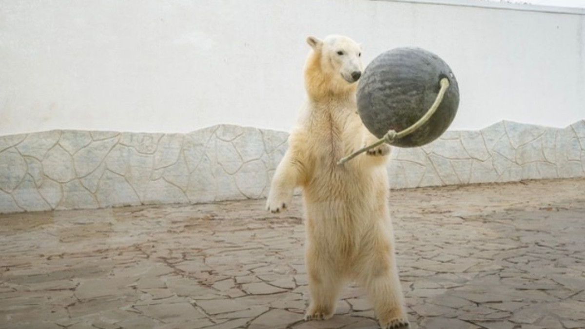 Зоопарк Ростов-на-Дону