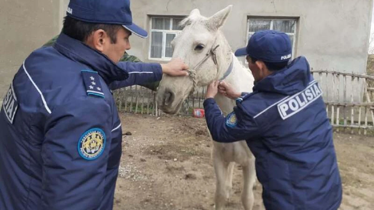 polisia.kz