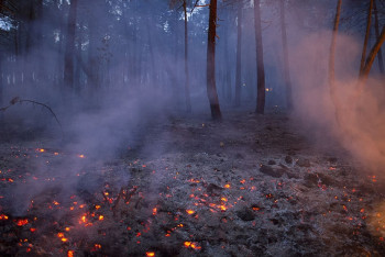Около половины погибших при пожарах были в состоянии алкогольного опьянения - МЧС РК