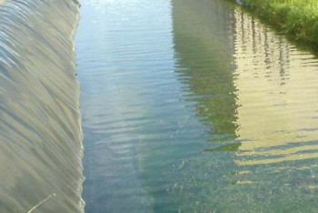 Фотография к новости: Экономия воды и новые кадры: как в Казахстане решают вопрос нехватки водных ресурсов