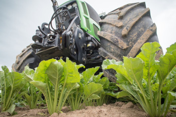 Фотография к новости: Почему аграрии Жетысу не хотят выращивать сахарную свеклу