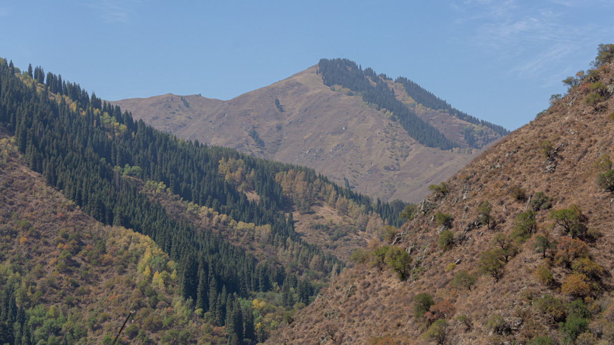 BaigeNews.kz / Артём Чурсинов