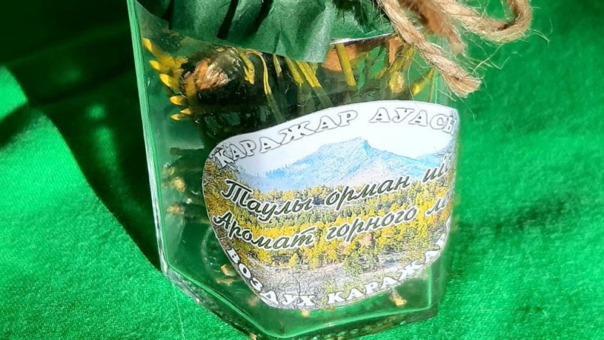 Е. Жусупбаева