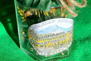 Фотография к новости: Продавать воздух стали предприимчивые сельчане в Павлодарской области