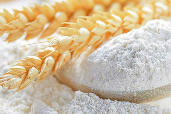 Фотография к новости: Мукомольные предприятия останавливают в Казахстане из-за нехватки вагонов