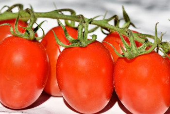 Фотография к новости: Фуры с томатами из Казахстана задержали в Оренбургской области