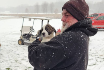 Фотография к новости: Самолёт с 53 бездомными собаками потерпел крушение в США