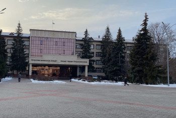 Фотография к новости: Поливать деревья зимой собирались в Петропавловске. Но потом передумали