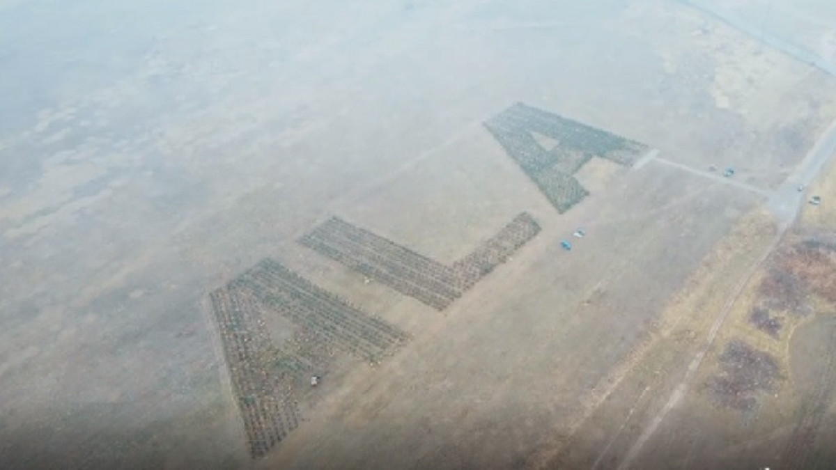 Instagram_daut.shaikhislamov