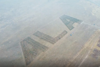 Фотография к новости: В Алматы высадили сад в форме трёх букв