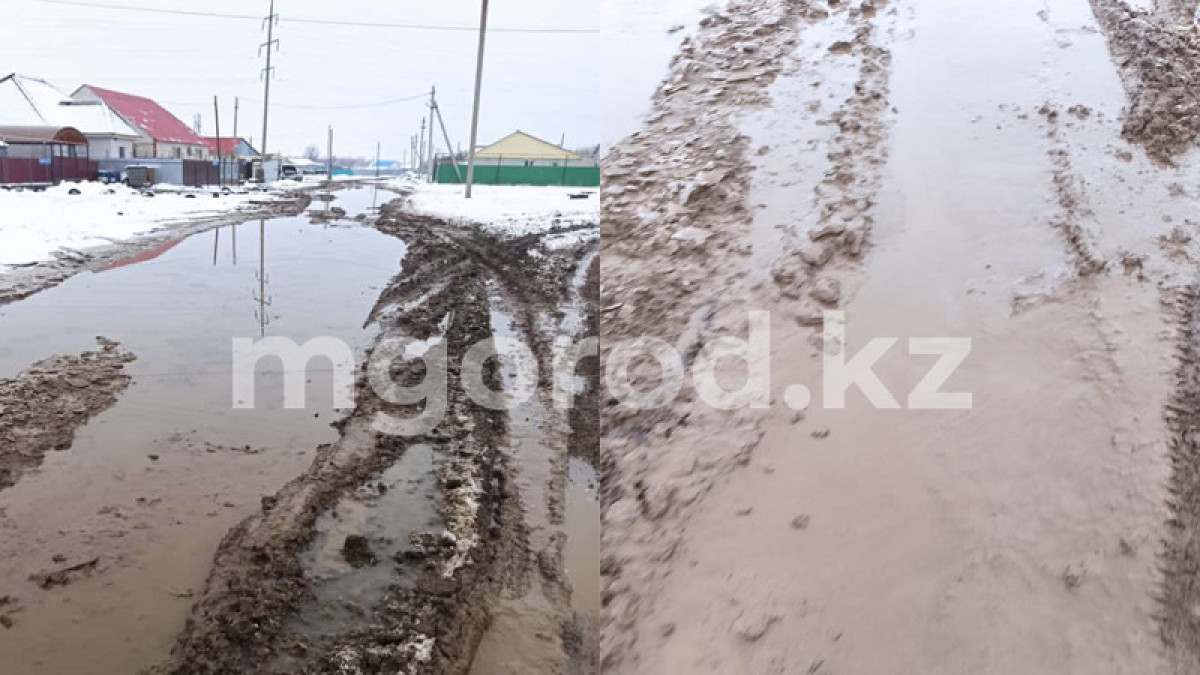 К переизбранному президенту РК обратились сельчане из ЗКО