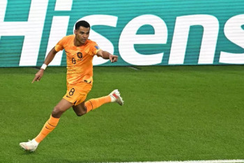 Фотография к новости: Сборная Нидерландов победила Сенегал в матче чемпионата мира по футболу