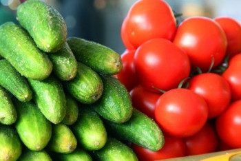 Фотография к новости: 1,5 тысячи за килограмм — глава Минсельхоза объяснил дороговизну помидоров и огурцов