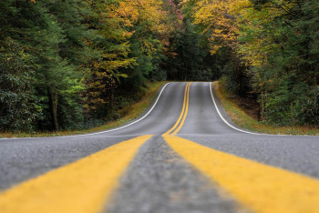 Фотография к новости: 91% республиканских дорог приведут в норму до конца 2022 года