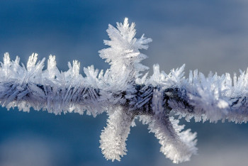 Фотография к новости: В двух городах ВКО из-за морозов детей перевели на дистанционку