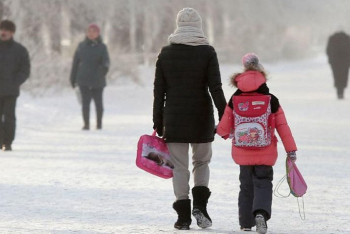 Фотография к новости: Школьники столицы и некоторых регионов Казахстана из-за мороза будут учиться дистанционно