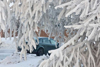 Фотография к новости: До  42 градусов мороза и сильный ветер обещают казахстанцам в понедельник