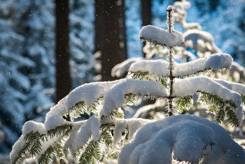 Фотография к новости: Усиление ветра и снепогады - прогноз погоды на 30 ноября в Казахстане