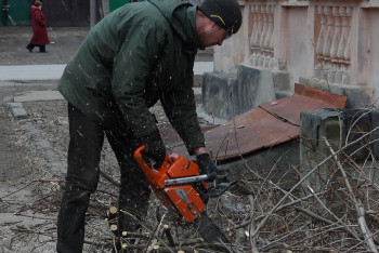 Фотография к новости: В Казахстане ужесточат наказание за незаконную вырубку деревьев и вандализм