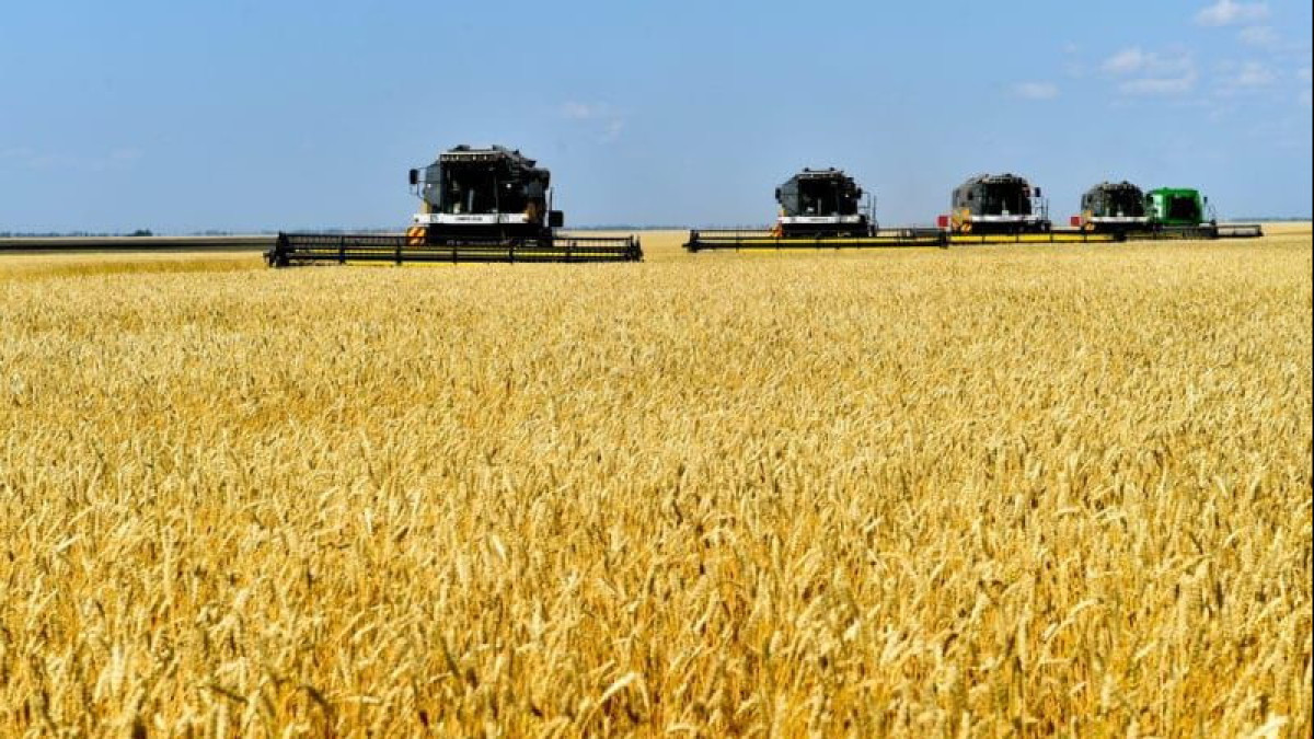 Сельхозпродукцию на триллион тенге произвели в Северном Казахстане