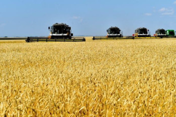 Фотография к новости: Сельхозпродукцию на триллион тенге произвели в Северном Казахстане