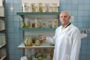 Фотография к новости: Вскрытие покажет: о частых причинах смертей рассказал 82-летний патологоанатом