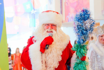 Фотография к новости: Более тысячи редких ёлочных игрушек собрала актриса из Петропавловска